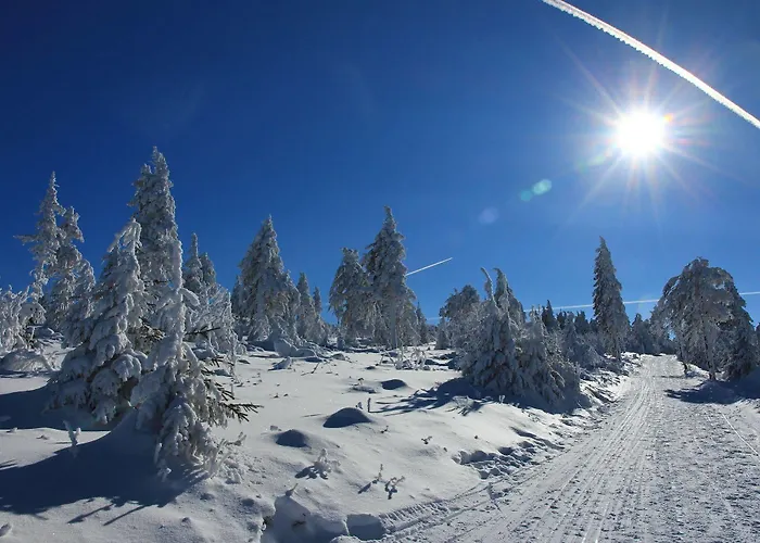 Haus Am Berg - Direkt Am Skihang